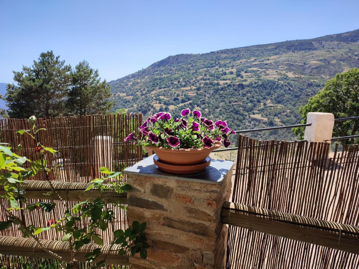 Casa Alpujarrena Fina Numero 27 Bubion Luaran gambar